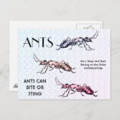 Ants Insects beugt Creepy Crawly Creatures Postkarte (Vorne/Hinten)