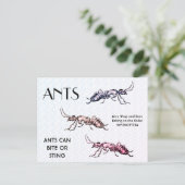 Ants Insects beugt Creepy Crawly Creatures Postkarte (Stehend Vorderseite)
