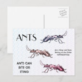 Ants Insects beugt Creepy Crawly Creatures Postkarte (Vorne/Hinten)