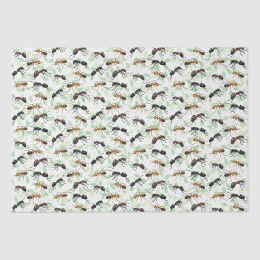 Ants Insects beugt Creepy Crawly Creatures Seidenpapier (Vorderseite)