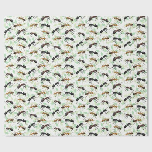 Ants Insects Bugs Wrapping Paper Geschenkpapier (Flach)