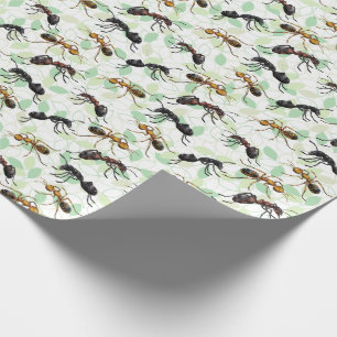 Ants Insects Bugs Wrapping Paper Geschenkpapier