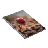 Ants Raspberry-Teamwork-Notebook Notizblock (Rechte Seite)