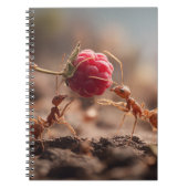 Ants Raspberry-Teamwork-Notebook Notizblock (Vorderseite)
