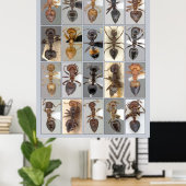 AntWeb Crematogaster Herz Poster (Heimbüro)