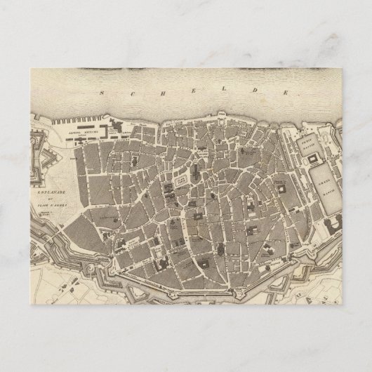 Antwerpen, Belgien Postkarte (Vorderseite)