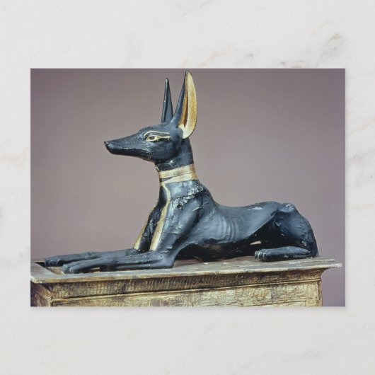 Anubis, ägyptischer Gott der Toten aus der Brust Postkarte (Vorderseite)