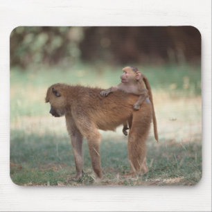 Anubis Baboon Mousepad