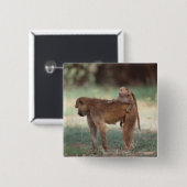 Anubis Pavian Button (Vorne & Hinten)