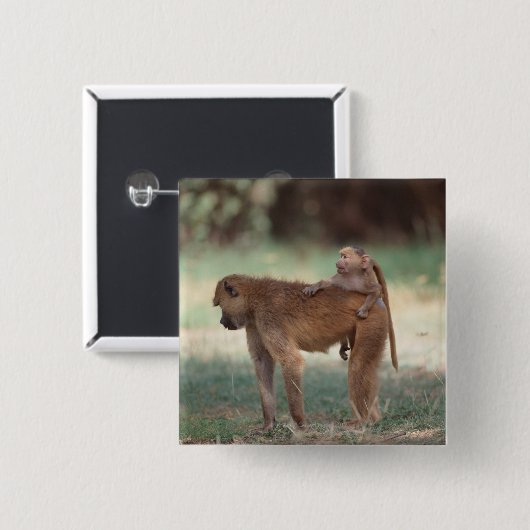 Anubis Pavian Button (Vorne & Hinten)