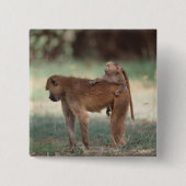 Anubis Pavian Button (Vorderseite)