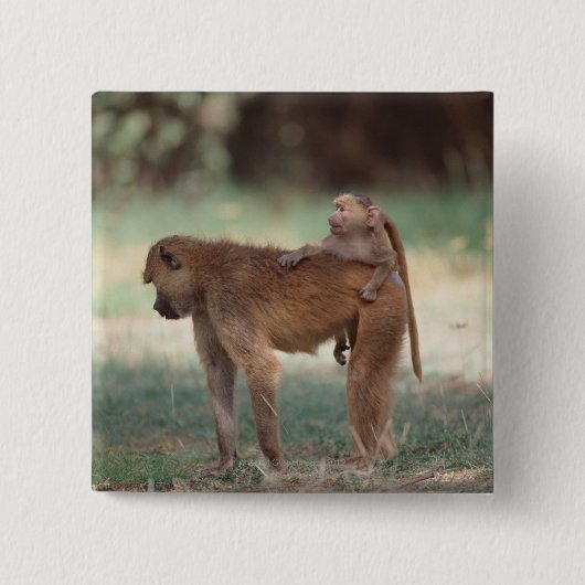 Anubis Pavian Button (Vorderseite)