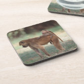 Anubis Pavian Untersetzer (Linke Seite)