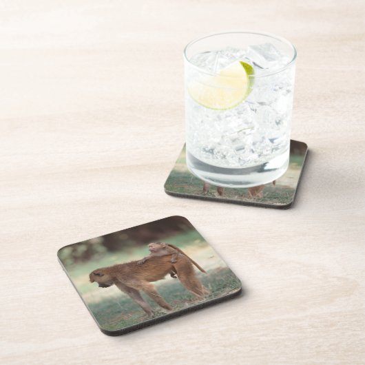 Anubis Pavian Untersetzer (Rechte Seite)