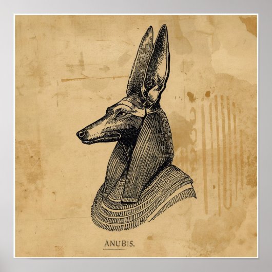 Anubis Poster (Vorne)