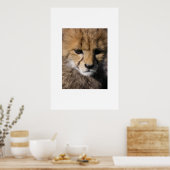 Anubis Poster (Küche)