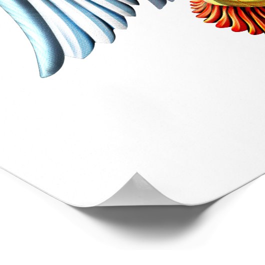 Anunnaki God Poster (Ecke)