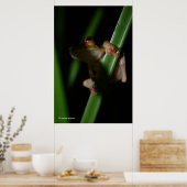 Anura_2 Poster (Küche)