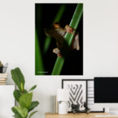 Anura_2 Poster (Heimbüro)