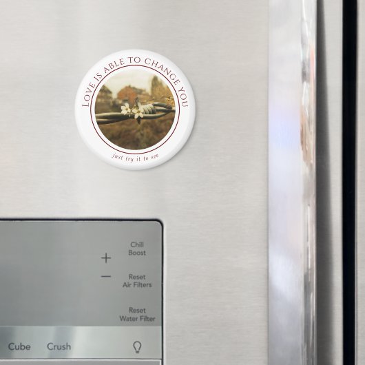 Anweisung Liebhaber Magnet (In Situ (Kühlschrank))