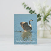 Anwesen am Lago Riverside, CA Postcard Postkarte (Stehend Vorderseite)