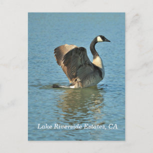 Anwesen am Lago Riverside, CA Postcard Postkarte