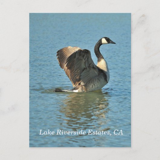 Anwesen am Lago Riverside, CA Postcard Postkarte (Vorderseite)
