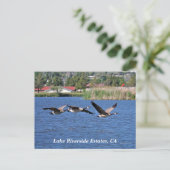 Anwesen am Lago Riverside, CA Postcard Postkarte (Stehend Vorderseite)