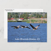Anwesen am Lago Riverside, CA Postcard Postkarte (Vorne/Hinten)
