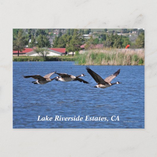 Anwesen am Lago Riverside, CA Postcard Postkarte (Vorderseite)