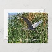 Anwesen des Lago Riverside Postkarte (Vorne/Hinten)