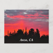 Anza, CA Postcard Postkarte (Vorderseite)