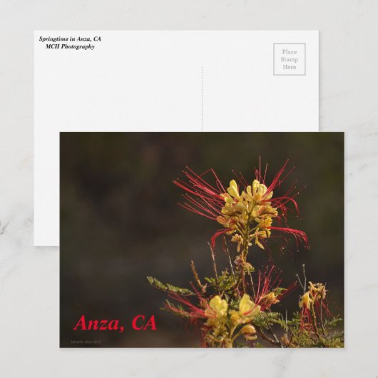 Anza, CA Postcard Postkarte (Vorne/Hinten)