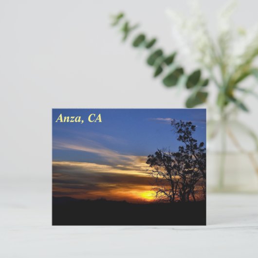 Anza, CA Postcard Postkarte (Stehend Vorderseite)
