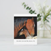 Anza, CA Postkarte mit Mare und Fohlen (Stehend Vorderseite)