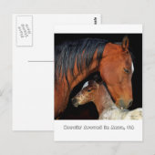 Anza, CA Postkarte mit Mare und Fohlen (Vorne/Hinten)