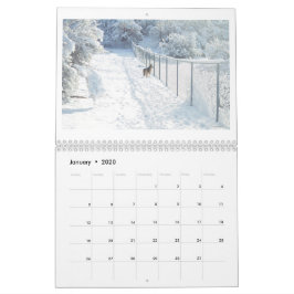 Anza, Kalifornien Zwölfmonatskalender Kalender