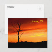 Anza, kalifornische Postkarte (Vorne/Hinten)