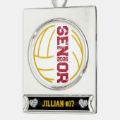 Anzahl der geplagten Volleyball-Senior-Jahre Banner-Ornament Silber (Links)