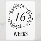 Anzeichen des Fotos der Schwangerschaft Woche des (Vorderseite)
