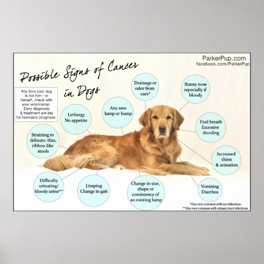 Anzeichen eines Krebspposters Poster (Vorne)