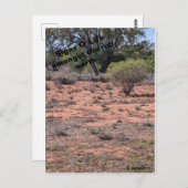 Anzeichen O' Life Postkarte (Vorne/Hinten)