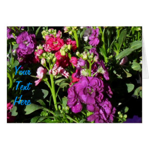 Anzeige der Blume Zuhause Depot