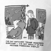 Anzeige des Fireworks als Miss T-Shirt