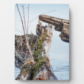 Anzeige Fotoplatte (Vorderseite)