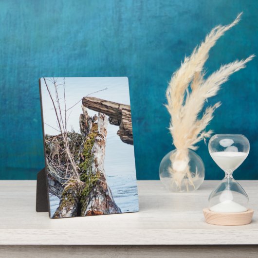 Anzeige Fotoplatte (Seite)