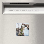 Anzeige Magnet (In Situ (Geschirrspüler))