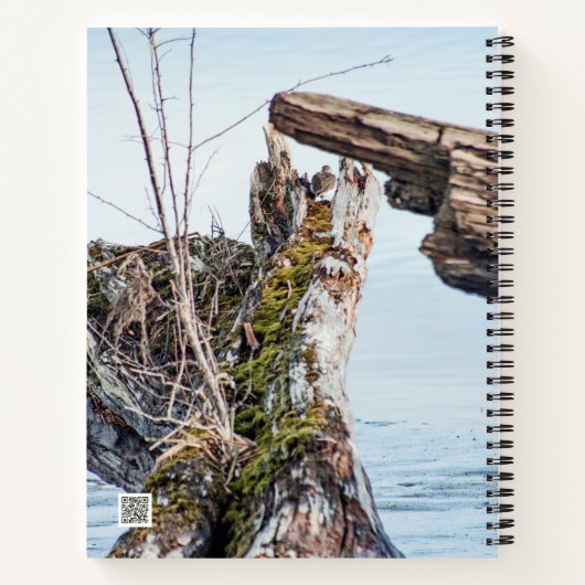 Anzeige Notizbuch (Rückseite)