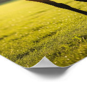 Anzeigen in einem Feld Poster (Ecke)