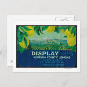 Anzeigen von Lemon LabelVentura, CA Postkarte (Vorne/Hinten)